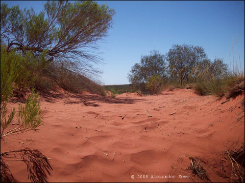 Red sand dune