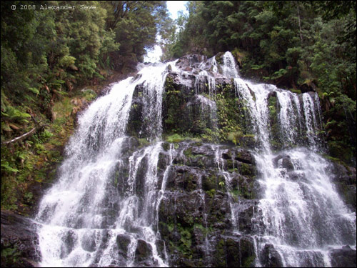 Waterfall in Tasmania