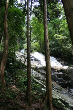 Waterfall in forest Malaysia