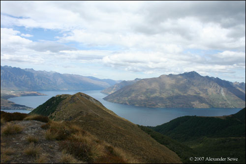 Queenstown fjord