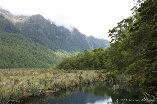 Lake, mountains and trees