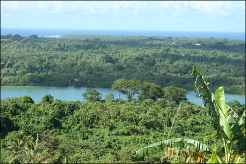 Vanuatu rainforest and rivers